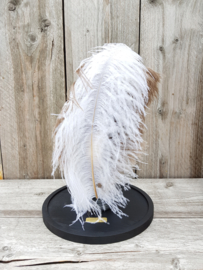 Glass Dome Ostrich Egg with feathers on stand NoW4
