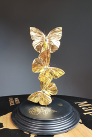 Butterfly Dome with 24ct Gold Leaf Phoebis Philea Butterflies - 27cm - RMS43