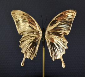 Butterfly Dome with 24ct gold plated Papilio Ulysses butterfly 27cm RMS46