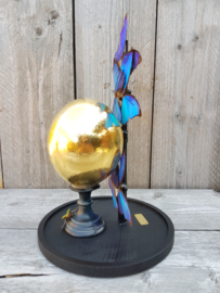 Glass Dome with 24ct Gold plated Ostrich Egg & 5 Morpho Butterflies NoV5