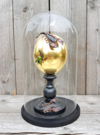 Glass Dome with 24ct Gold plated Ostrich Egg Guarded by 2 Scorpions NoV4