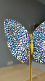 Phoebis Butterfly with 24ct Gold Leaf and Swarovski Crystals Bermuda Blue - 27cm dome - RMS02