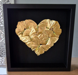 Real butterflies gold gilded heart artwork in frame limited edition RMS54