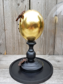 Glass Dome with 24ct Gold plated Ostrich Egg Guarded by 2 Scorpions NoV4