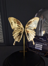 Butterfly Dome with 24ct gold plated Papilio Ulysses butterfly 27cm RMS46