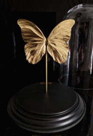 Butterfly Dome with 24ct gold plated Morpho Didius butterfly 32cm RMS04