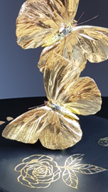 Butterfly Dome with 24ct Gold Leaf Phoebis Philea Butterflies - 27cm - RMS43