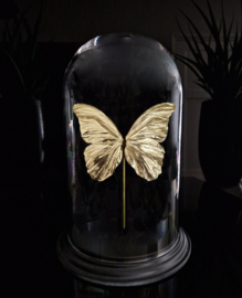 Butterfly Dome with 24ct gold plated Morpho Didius butterfly 32cm RMS04