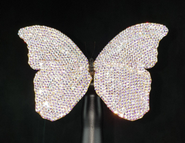 Swarovski Butterfly & Taxidermy Art