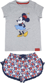 Minnie Mouse zomerset