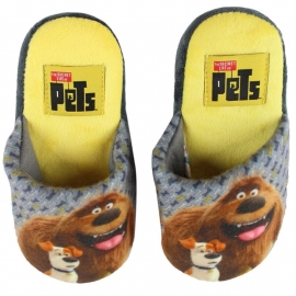 Leuke slippers huisdier geheimen