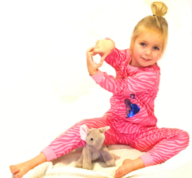 Frogs en Dogs - All You Need - meisjes -pyjama - roze/fuchsia - zebra - pailletten hart
