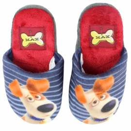 Leuke slippers huisdier geheimen