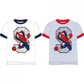 Spiderman - t-shirt - wit of grijs