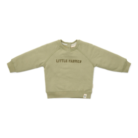 Little Dutch sweater groen