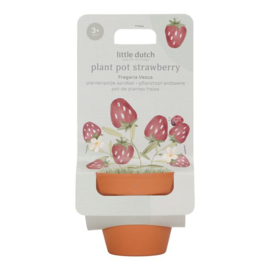 LD potje aardbeien