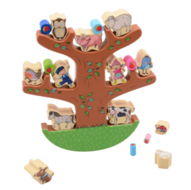 Fien en Teun balansspel
