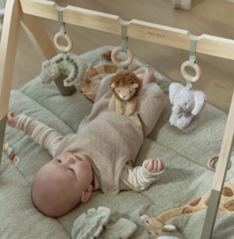 LD babygym Safari