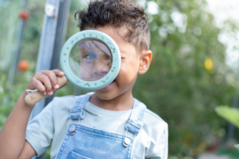 LD vergrootglas blauw Forest Friends