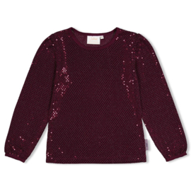 Jubel longsleeve glitter - Daily Princess