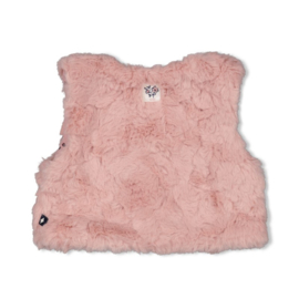 Feetje gilet Swanlake