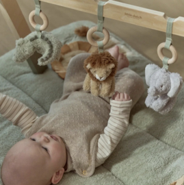 LD babygym Safari
