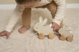 Trekdier konijnen Baby bunny