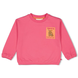 Jubel sweater Samba Shake roze