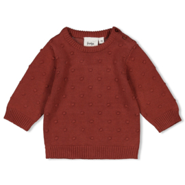 Feetje sweater gebreid berry maat 68