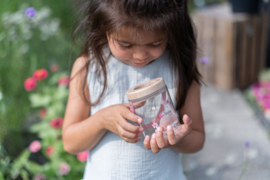 LD insectenpotje roze Fairy Garden