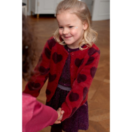 Jubel vest hartjes - Daily Princess