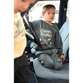 Sturdy Fix It sweater petrol