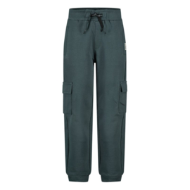 Sturdy cargo broek petrol - Fix It