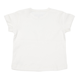 Little Dutch t-shirtje goose maat 62