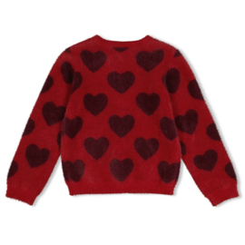 Jubel vest hartjes - Daily Princess