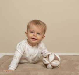 LD little bunny grijpbal