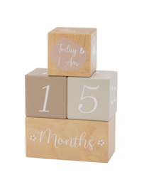 Label Label milestone blokken nougat