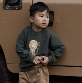 LD sweater groen Safari Friends