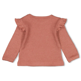 Feetje shirtje berry melange maat 74