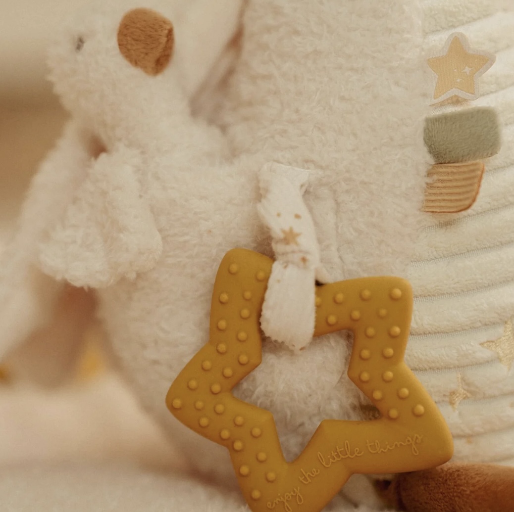 LD activiteiten Gans wit - newborn naturels