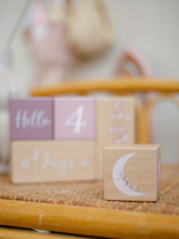 Label Label milestone blokken roze