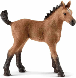 Schleich Quarter horse veulen