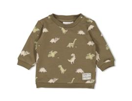 Feetje sweater rawr some olive