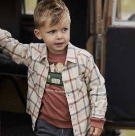 LD blouse ruitjes
