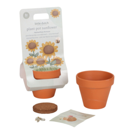 LD potje zonnebloem
