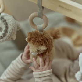 LD babygym Safari