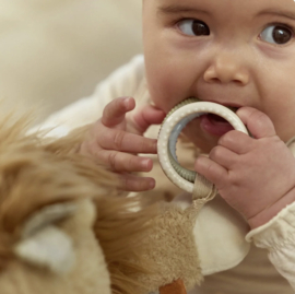 LS Safari activiteiten knuffel leeuw
