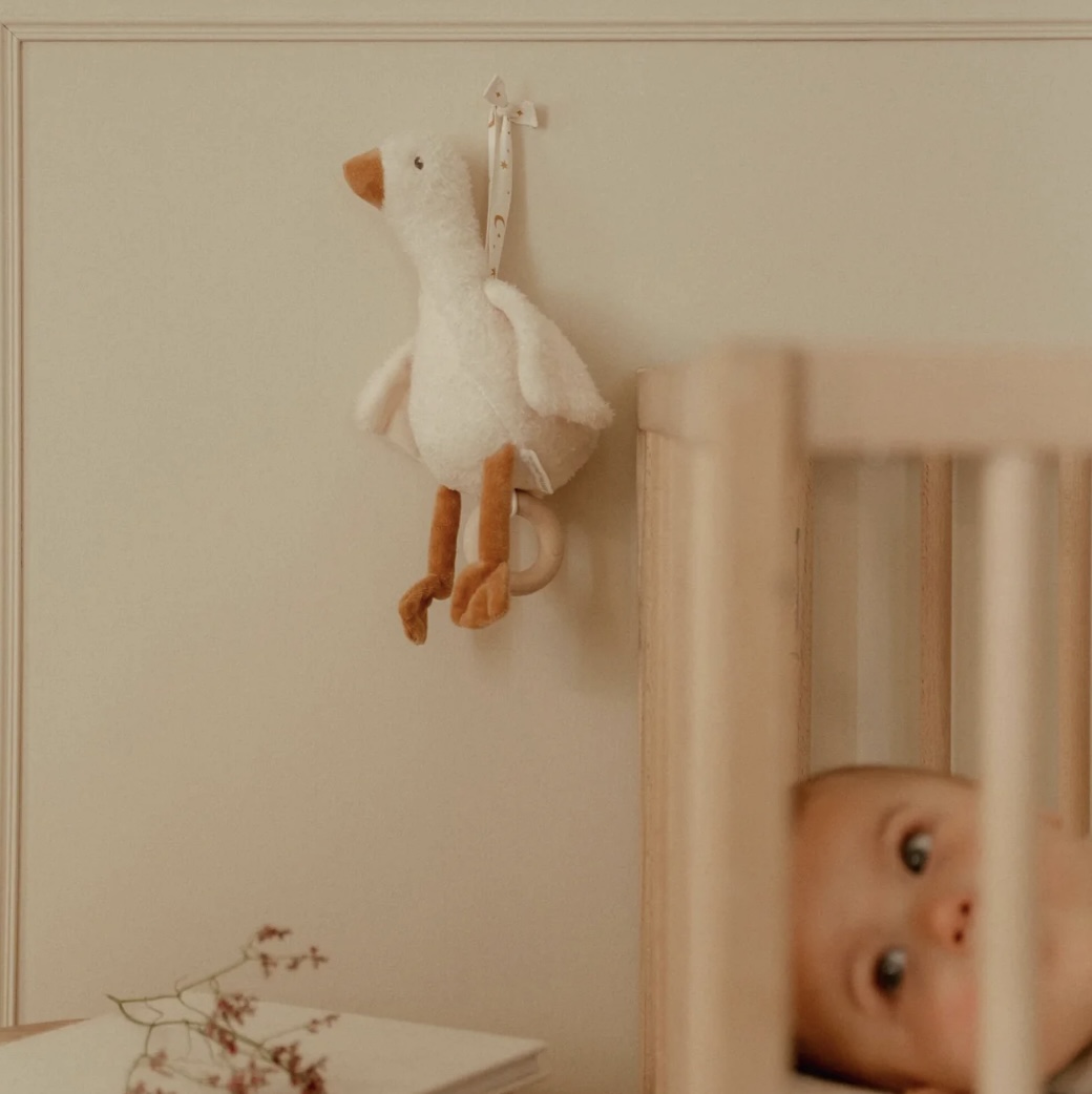 LD muziekdoosje gans - Goose