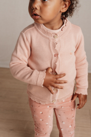 Little Dutch vestje soft pink