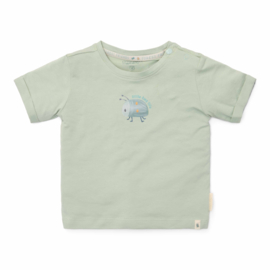 LD t-shirt korte mouw Forest Mint